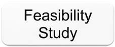 Feasibility Study button